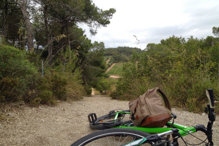 Group Activities in Mallorca | Image of Bike on Trail