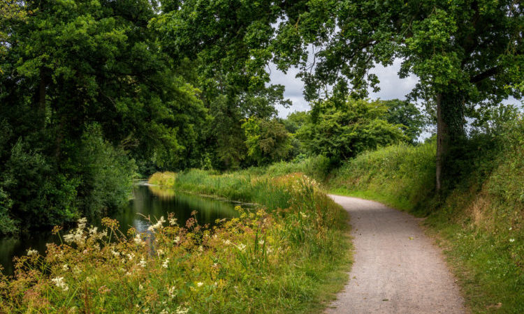 English nature landscape - the towpath along the beautiful Grand Western Canal, Tiverton, EastDevon, UK. AONB ie Area of Outstanding Natural Beauty.
