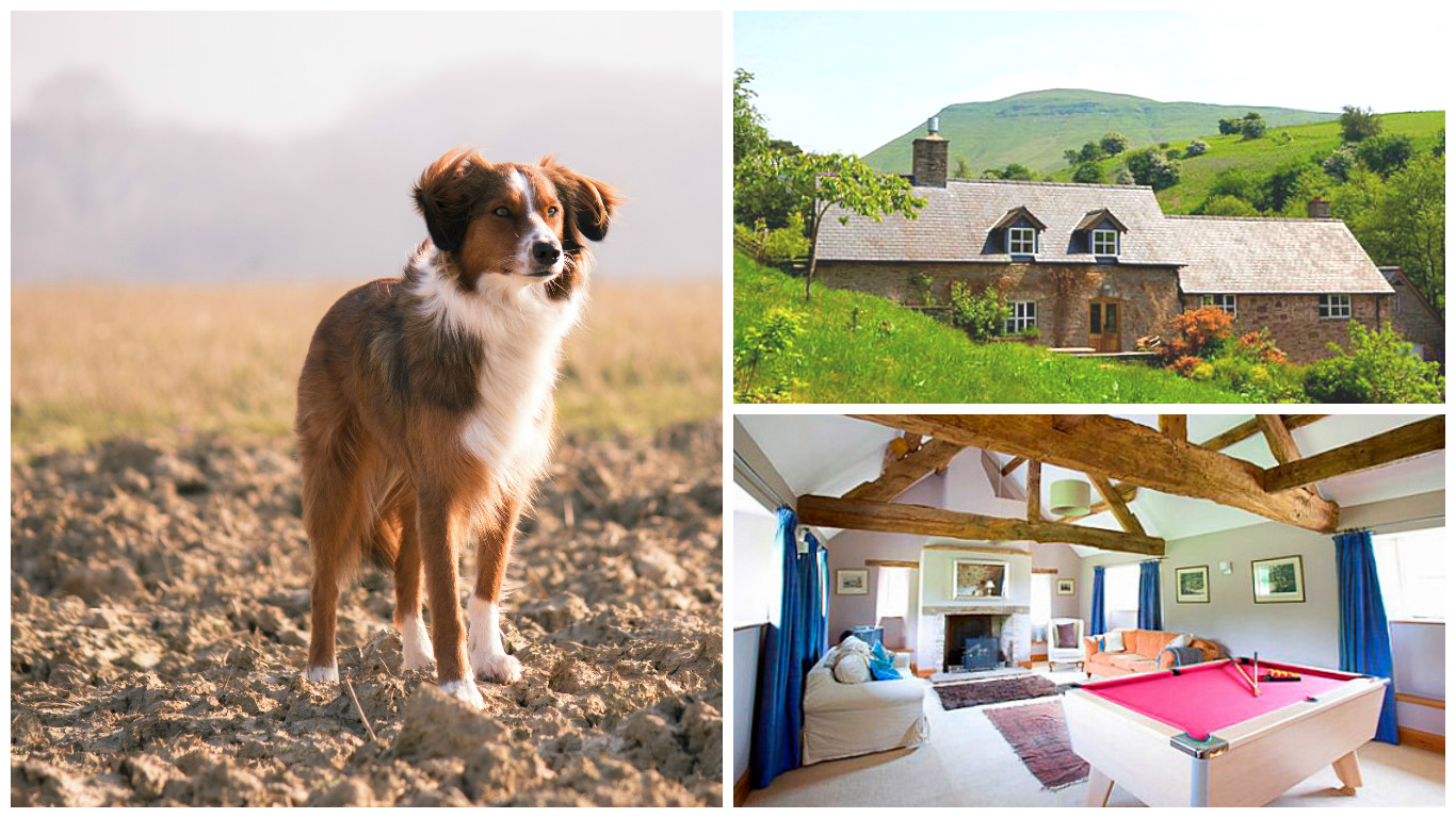 Top 10 DogFriendly Cottages for a UK Break Oliver's Travels