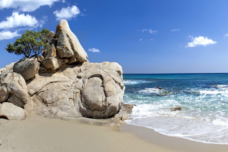 beaches in sardinia | rock formation with tree on beach with blue water | Santa Giusta Beach