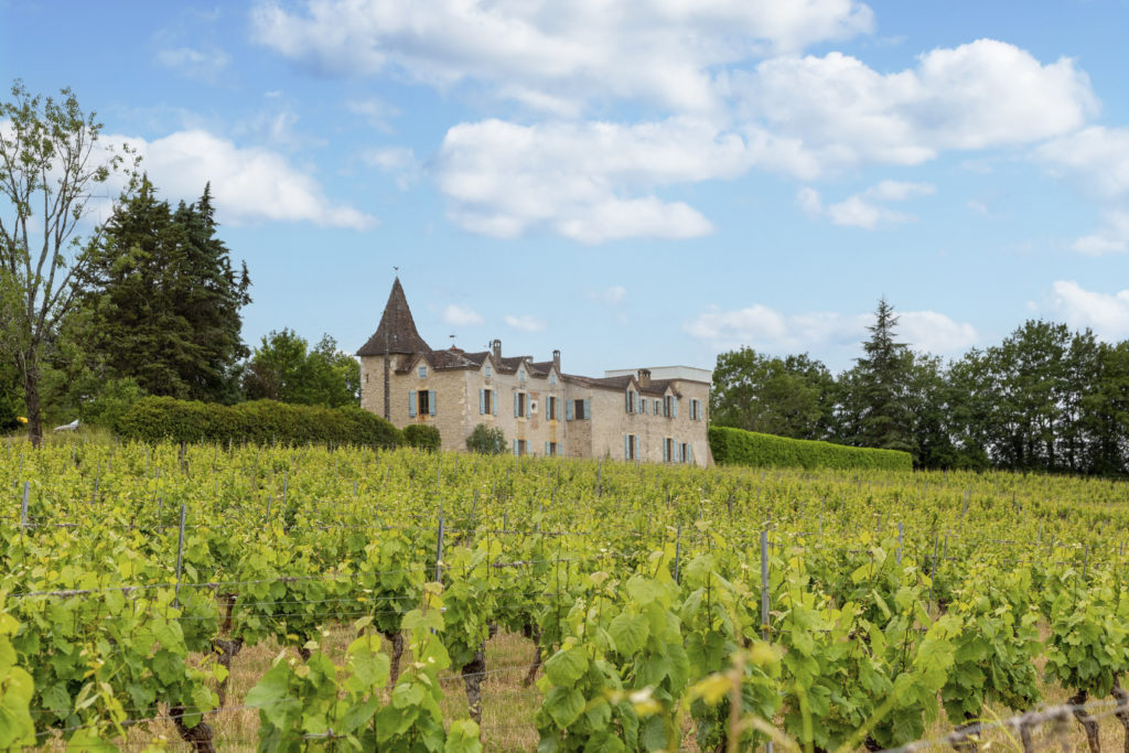 Maison des Vignobles - villas in France with a vineyard