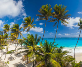 Barbados beaches - header