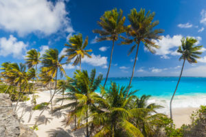 Barbados beaches - header