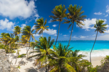 Barbados beaches - header