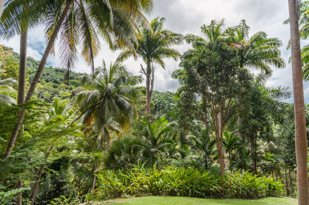 Andromeda Gardens in Barbados