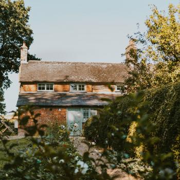 Meadow Cottage, Dorset | Oliver's Travels