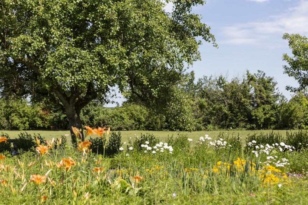 Chateau De Grazay, Loire Valley | Oliver's Travels